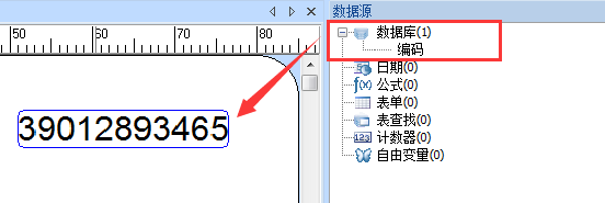 如何在CODESOFT中定义数据库变量的输出格式？