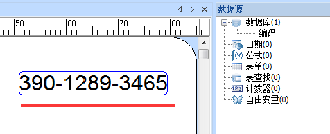 如何在CODESOFT中定义数据库变量的输出格式？