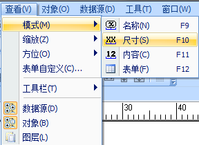 CODESOFT中的查看模式